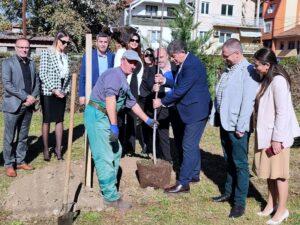 ДРВО ПРИЈАТЕЉСТВА - ЗА НОВУ ВИЗИЈУ